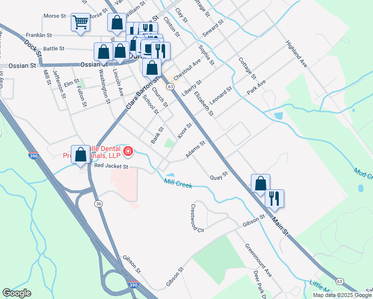 map of restaurants, bars, coffee shops, grocery stores, and more near 14 Adams St in Dansville