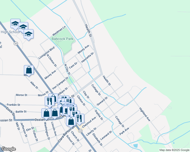 map of restaurants, bars, coffee shops, grocery stores, and more near 46 Perine Street in Dansville