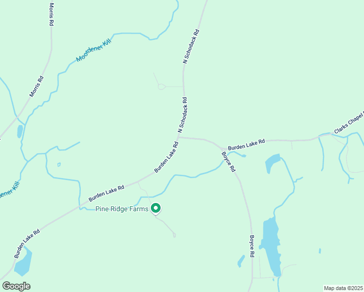 map of restaurants, bars, coffee shops, grocery stores, and more near 346 Burden Lake Road in East Greenbush