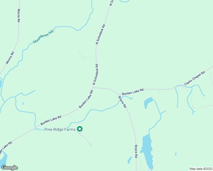 map of restaurants, bars, coffee shops, grocery stores, and more near 397 Burden Lake Road in East Greenbush