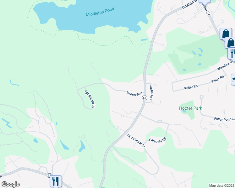 map of restaurants, bars, coffee shops, grocery stores, and more near 16 James Avenue in Middleton