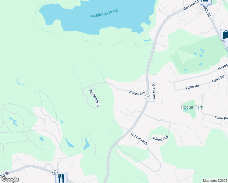 map of restaurants, bars, coffee shops, grocery stores, and more near 16 James Avenue in Middleton