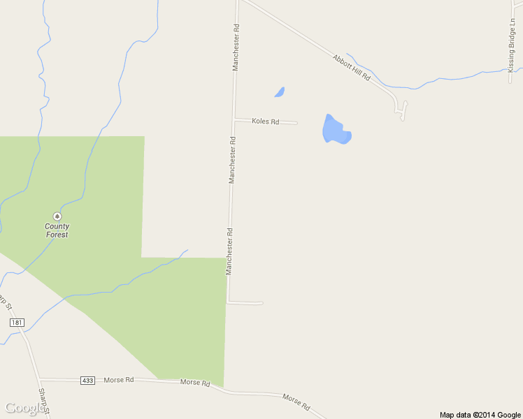 map of restaurants, bars, coffee shops, grocery stores, and more near 10765 Manchester Road in Boston