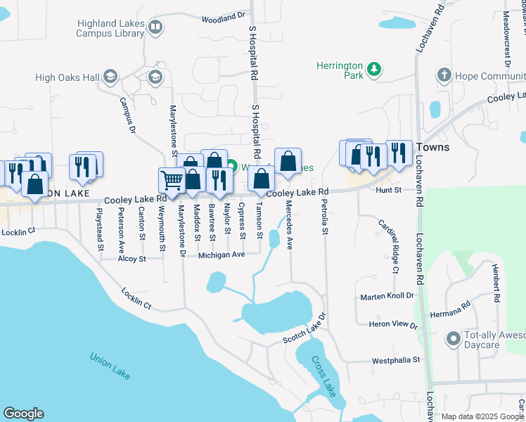 map of restaurants, bars, coffee shops, grocery stores, and more near 1535 Tamson Street in West Bloomfield Township