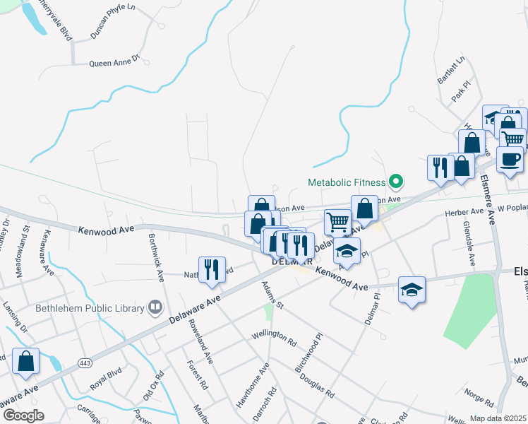 map of restaurants, bars, coffee shops, grocery stores, and more near 100 Adams Street in Delmar