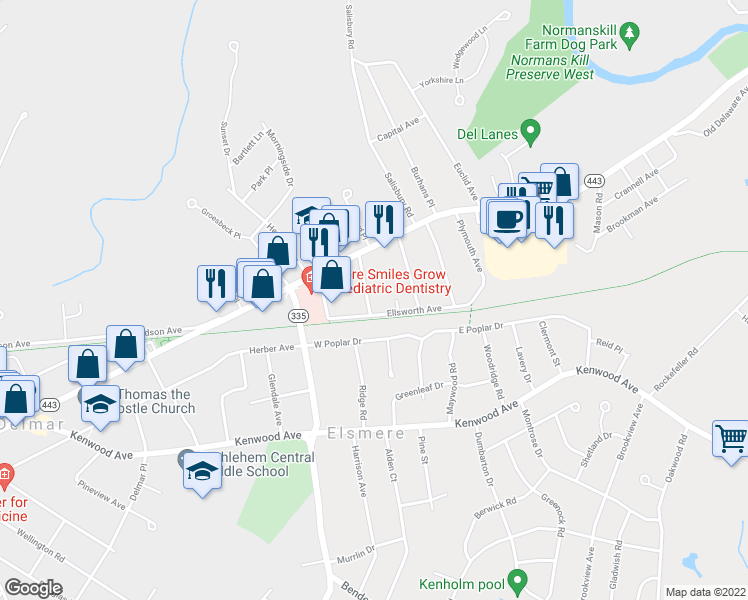 map of restaurants, bars, coffee shops, grocery stores, and more near 20 Lincoln Avenue in Delmar