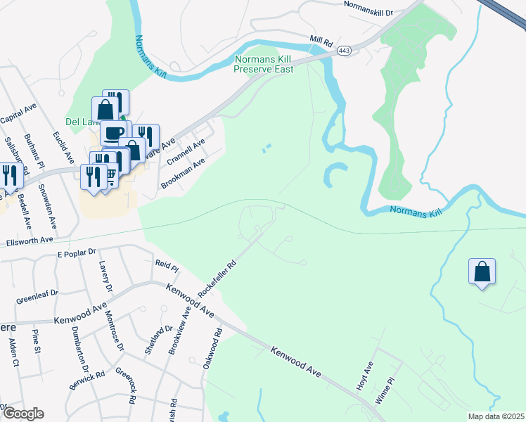 map of restaurants, bars, coffee shops, grocery stores, and more near 119 Rockefeller Road in Delmar
