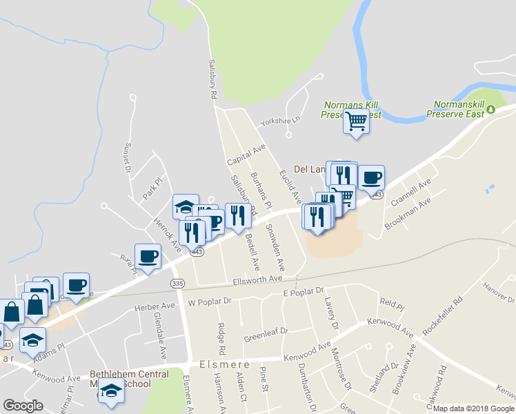 map of restaurants, bars, coffee shops, grocery stores, and more near 1 Salisbury Road in Delmar