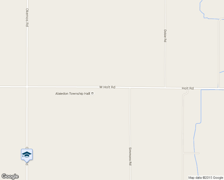 map of restaurants, bars, coffee shops, grocery stores, and more near 1943 Holt Road in Mason