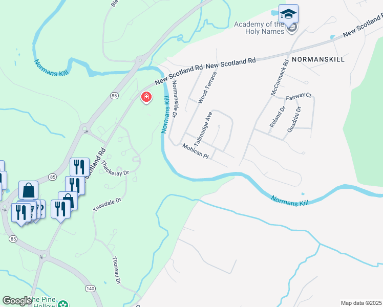 map of restaurants, bars, coffee shops, grocery stores, and more near 9 Mohican Place in Slingerlands