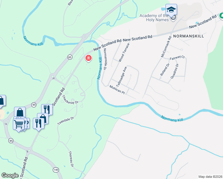 map of restaurants, bars, coffee shops, grocery stores, and more near 9 Mohican Place in Slingerlands