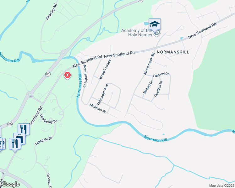 map of restaurants, bars, coffee shops, grocery stores, and more near 113 Tallmadge Avenue in Albany