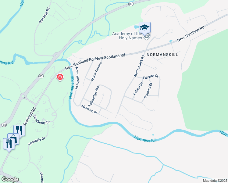 map of restaurants, bars, coffee shops, grocery stores, and more near 113 Tallmadge Avenue in Albany