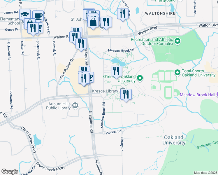 map of restaurants, bars, coffee shops, grocery stores, and more near 308 Meadow Brook Road in Rochester