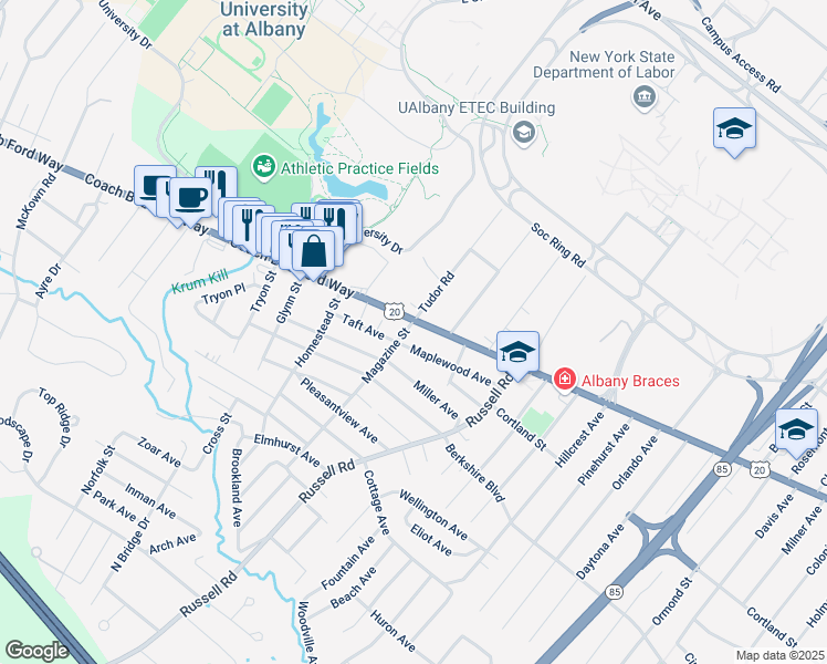 map of restaurants, bars, coffee shops, grocery stores, and more near 369 Magazine Street in Albany