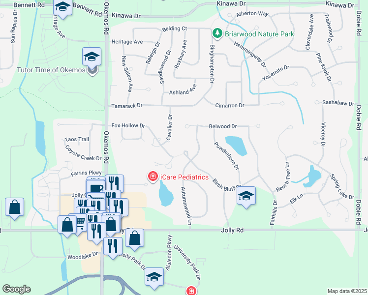 map of restaurants, bars, coffee shops, grocery stores, and more near 2080 Birch Bluff Drive in Meridian charter Township