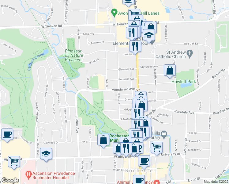 map of restaurants, bars, coffee shops, grocery stores, and more near 313 Woodward Avenue in Rochester
