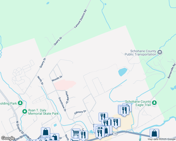 map of restaurants, bars, coffee shops, grocery stores, and more near 111 Josephine Drive in Cobleskill