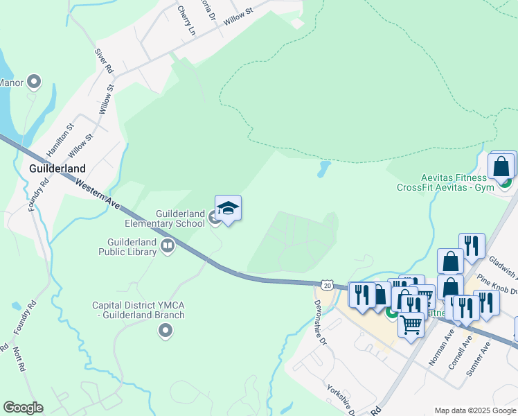 map of restaurants, bars, coffee shops, grocery stores, and more near 2225 Western Avenue in Guilderland
