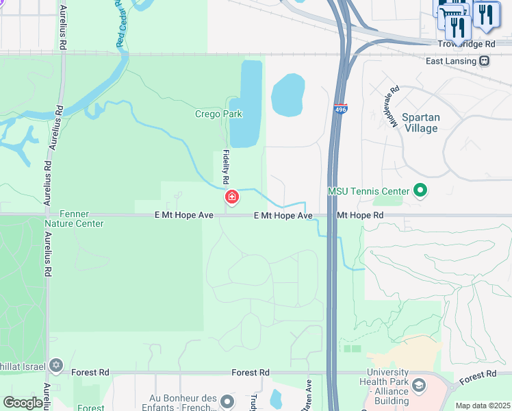 map of restaurants, bars, coffee shops, grocery stores, and more near 2909 East Mount Hope Avenue in Lansing