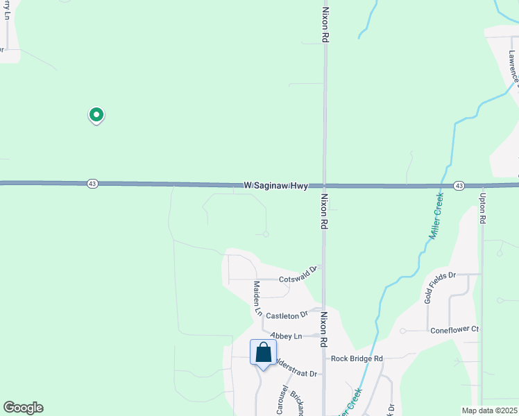 map of restaurants, bars, coffee shops, grocery stores, and more near 12907 Townsend Drive in Grand Ledge