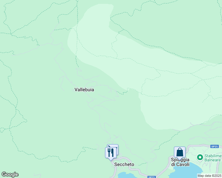 map of restaurants, bars, coffee shops, grocery stores, and more near 419 Via del Serone in Provincia di Livorno