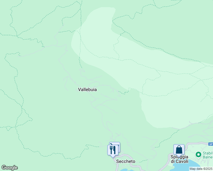 map of restaurants, bars, coffee shops, grocery stores, and more near 419 Via del Serone in Provincia di Livorno