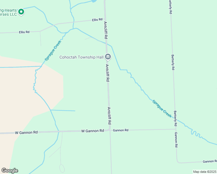 map of restaurants, bars, coffee shops, grocery stores, and more near 10292 Antcliff Road in Fowlerville
