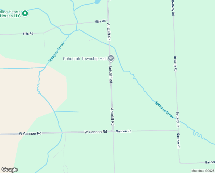 map of restaurants, bars, coffee shops, grocery stores, and more near 10292 Antcliff Road in Fowlerville