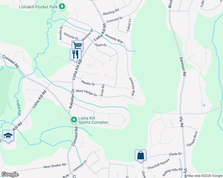 map of restaurants, bars, coffee shops, grocery stores, and more near 41 Plaske Drive in Schenectady