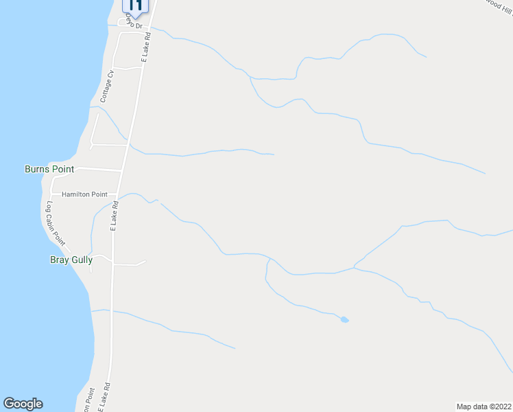 map of restaurants, bars, coffee shops, grocery stores, and more near 5329 East Lake Road in Honeoye