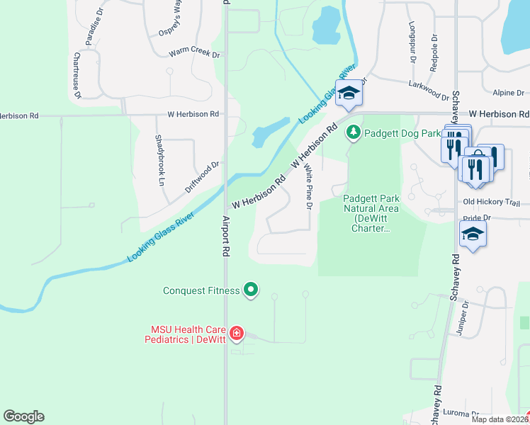 map of restaurants, bars, coffee shops, grocery stores, and more near 3951 Blue Spruce Drive in DeWitt