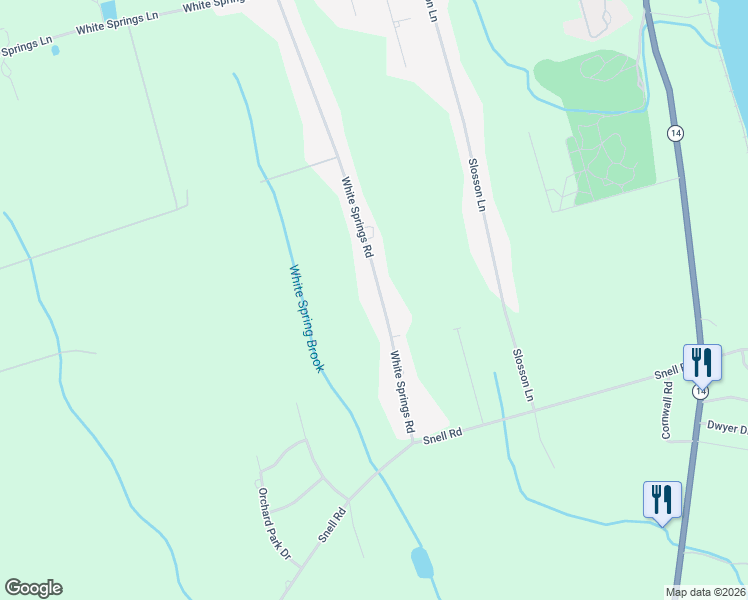 map of restaurants, bars, coffee shops, grocery stores, and more near 503 White Springs Road in Geneva