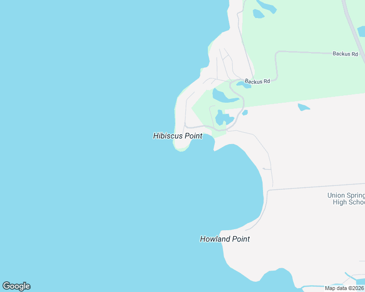 map of restaurants, bars, coffee shops, grocery stores, and more near 346 Backus Road in Cayuga
