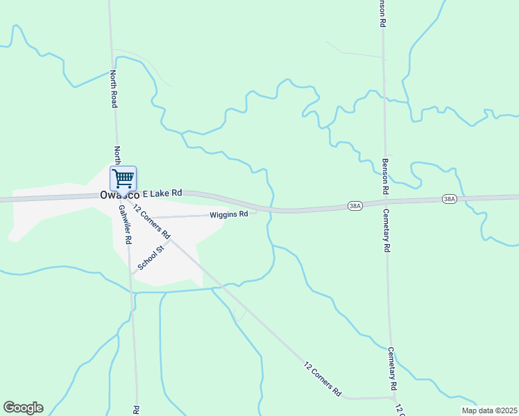 map of restaurants, bars, coffee shops, grocery stores, and more near in Cayuga County