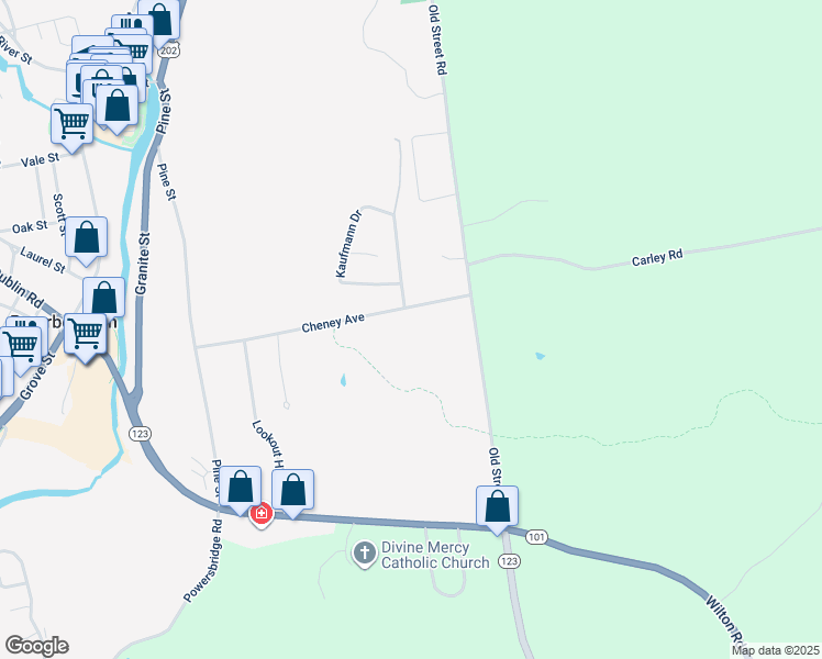map of restaurants, bars, coffee shops, grocery stores, and more near 93 Cheney Avenue in Peterborough