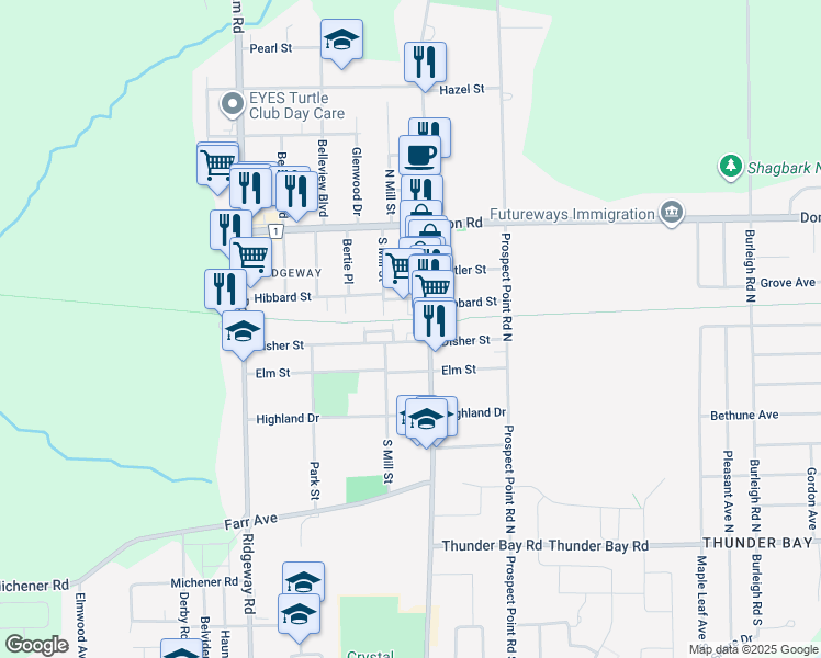 map of restaurants, bars, coffee shops, grocery stores, and more near 265 Ridge Road North in Fort Erie