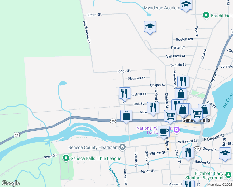 map of restaurants, bars, coffee shops, grocery stores, and more near 42 Chestnut Street in Seneca Falls