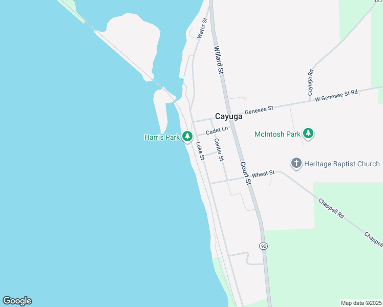 map of restaurants, bars, coffee shops, grocery stores, and more near 6202 Lake St in Cayuga