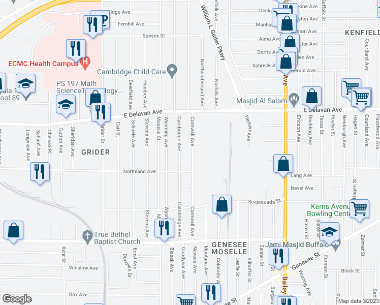 map of restaurants, bars, coffee shops, grocery stores, and more near 110 Cornwall Avenue in Buffalo