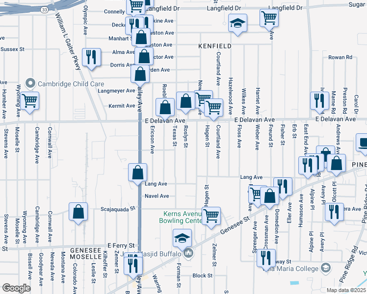 map of restaurants, bars, coffee shops, grocery stores, and more near 236 Roslyn Street in Buffalo