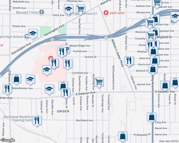 map of restaurants, bars, coffee shops, grocery stores, and more near 108 Litchfield Avenue in Buffalo