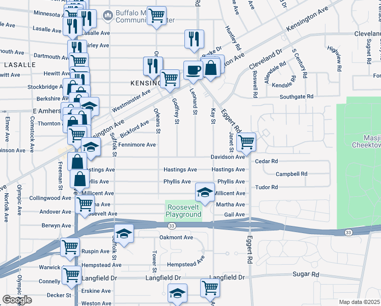 map of restaurants, bars, coffee shops, grocery stores, and more near 252 Davidson Avenue in Buffalo