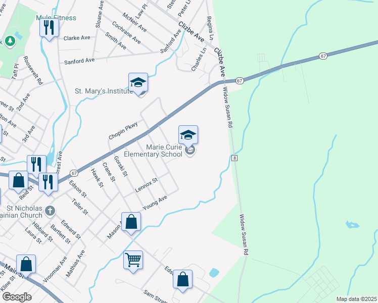 map of restaurants, bars, coffee shops, grocery stores, and more near 9 Brice Street in Amsterdam
