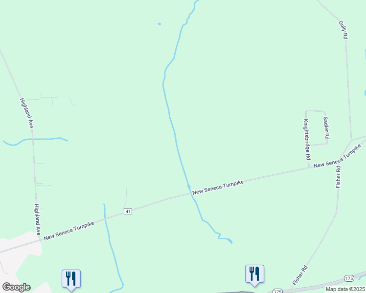 map of restaurants, bars, coffee shops, grocery stores, and more near 1503 New Seneca Turnpike in Skaneateles