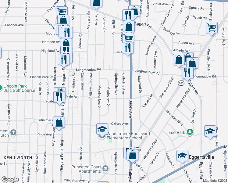 map of restaurants, bars, coffee shops, grocery stores, and more near 424 Springville Avenue in Buffalo