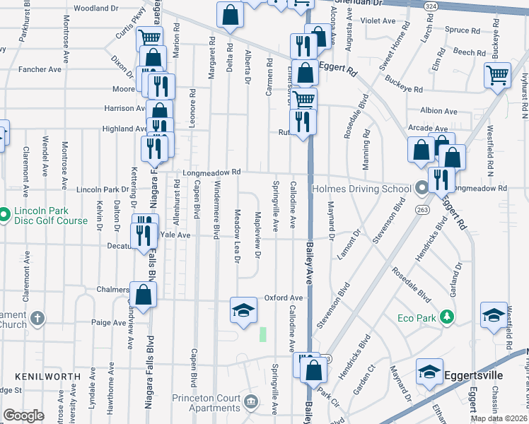 map of restaurants, bars, coffee shops, grocery stores, and more near 424 Springville Avenue in Buffalo