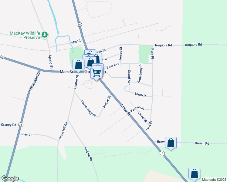 map of restaurants, bars, coffee shops, grocery stores, and more near 3219 State Street in Caledonia