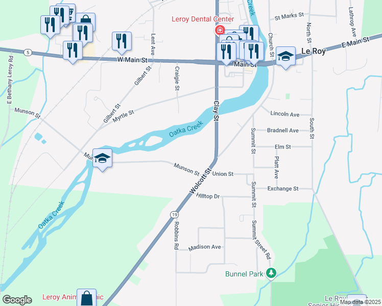 map of restaurants, bars, coffee shops, grocery stores, and more near 10 Munson Street in Le Roy