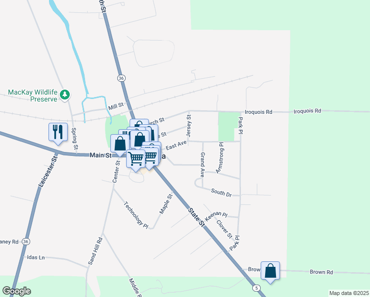 map of restaurants, bars, coffee shops, grocery stores, and more near 3204 East Avenue in Caledonia